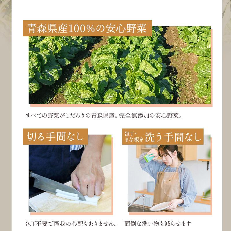 乾燥野菜 国産100% 無添加 業務用 青森のねぎ香るミックス 長ねぎ 玉ねぎ キャベツ 人参 食物繊維たっぷり やさいマルシェ 100g×10袋セット｜konbu-genzouya｜05