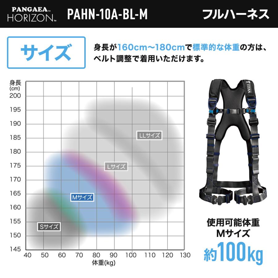 フルハーネス 新規格 安全帯 巻取り式ランヤード×2 フルハーネス セット RICORO-N HL-MR型 + PAHN-10A-BL-M Mサイズ 墜落制止用器具 サンコーの画像