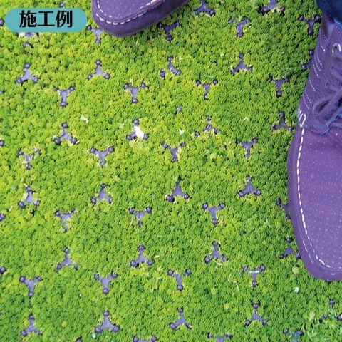 駐車場芝生保護材 ターフパーキング TP-2 ハーフ【4枚セット 駐車場芝生保護材 ターフパーキング TP-2 ハーフ【4枚セット