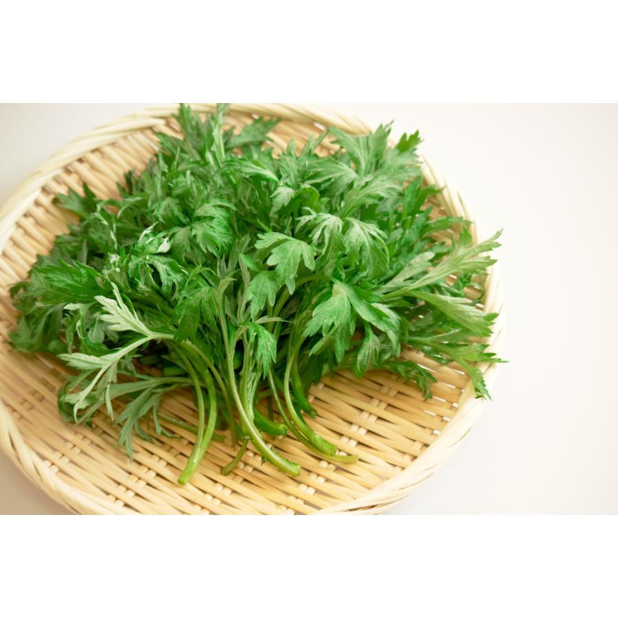 徳島産 天然【ヨモギの根 10本】農家直送 送料無料 農薬不使用 よもぎ