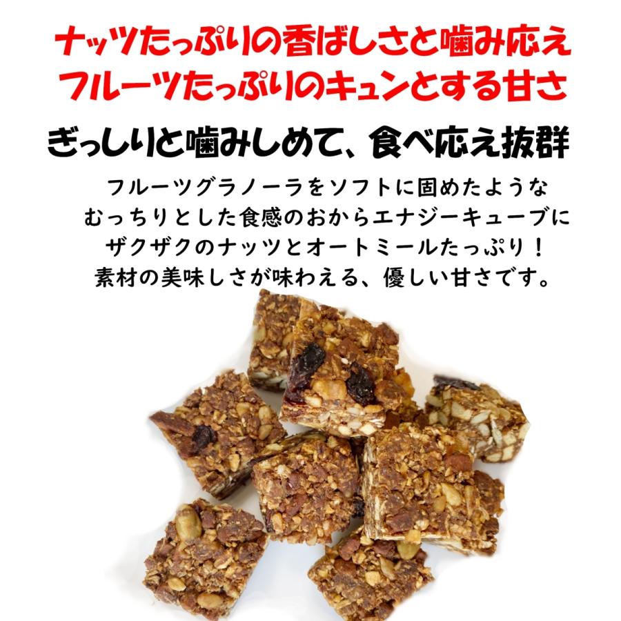 訳あり切れ端おからマクロビエナジーバー225g ノンオイル 低糖質手作りおからクッキー マート グルテンフリーダイエット食品