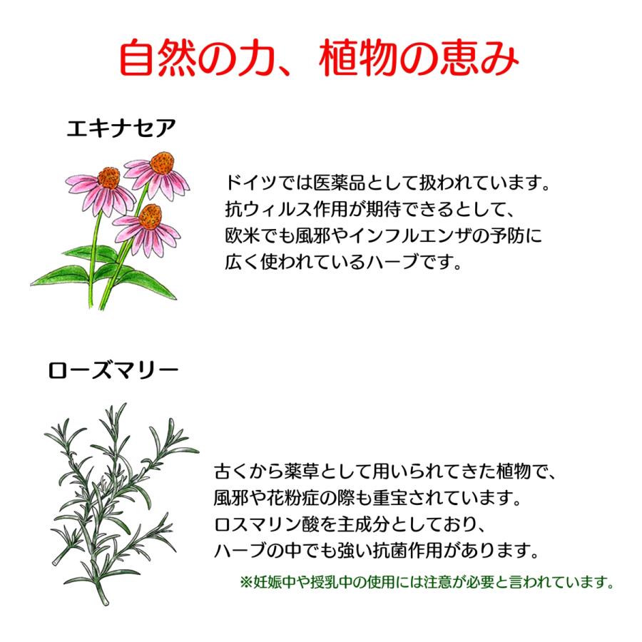 訳あり切れ端 おからクッキー ノンオイル砂糖不使用 低糖質 エキナセアローズマリー ハーブのエナジーバー 0g Energy02cube こんなおやつが欲しかった 通販 Yahoo ショッピング