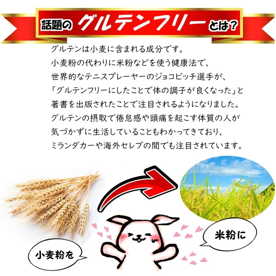 手作りおからクッキーノンオイル白砂糖不使用【米粉と豆乳の揚げないおからかりんとう】 390g無添加 全国送料無料 |  | 11