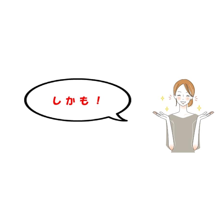 手作りおからクッキーノンオイル白砂糖不使用【米粉と豆乳の揚げないおからかりんとう】 390g無添加 全国送料無料 |  | 07