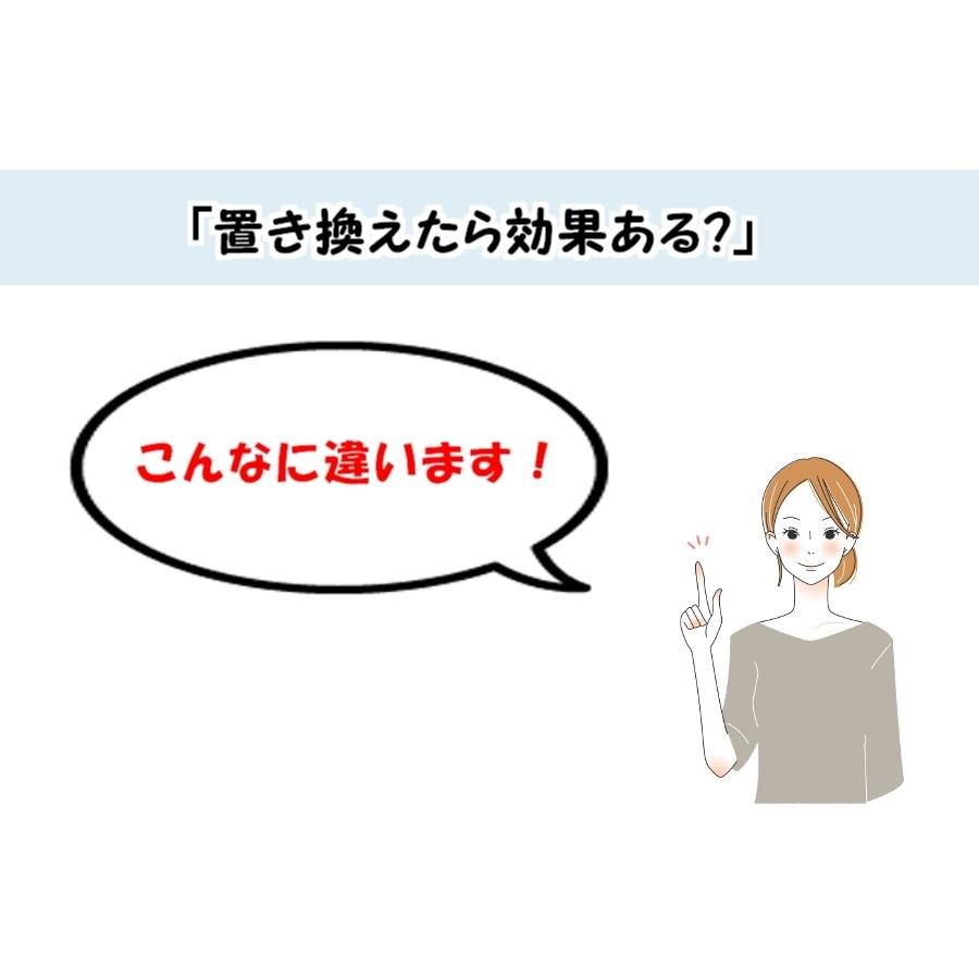 置き換えダイエット食品 低糖質ゼロおからクッキー 硬い無添加【シナモンココナッツのゼロ 個包装】ノンオイルノンシュガー｜konnaoyatu｜15