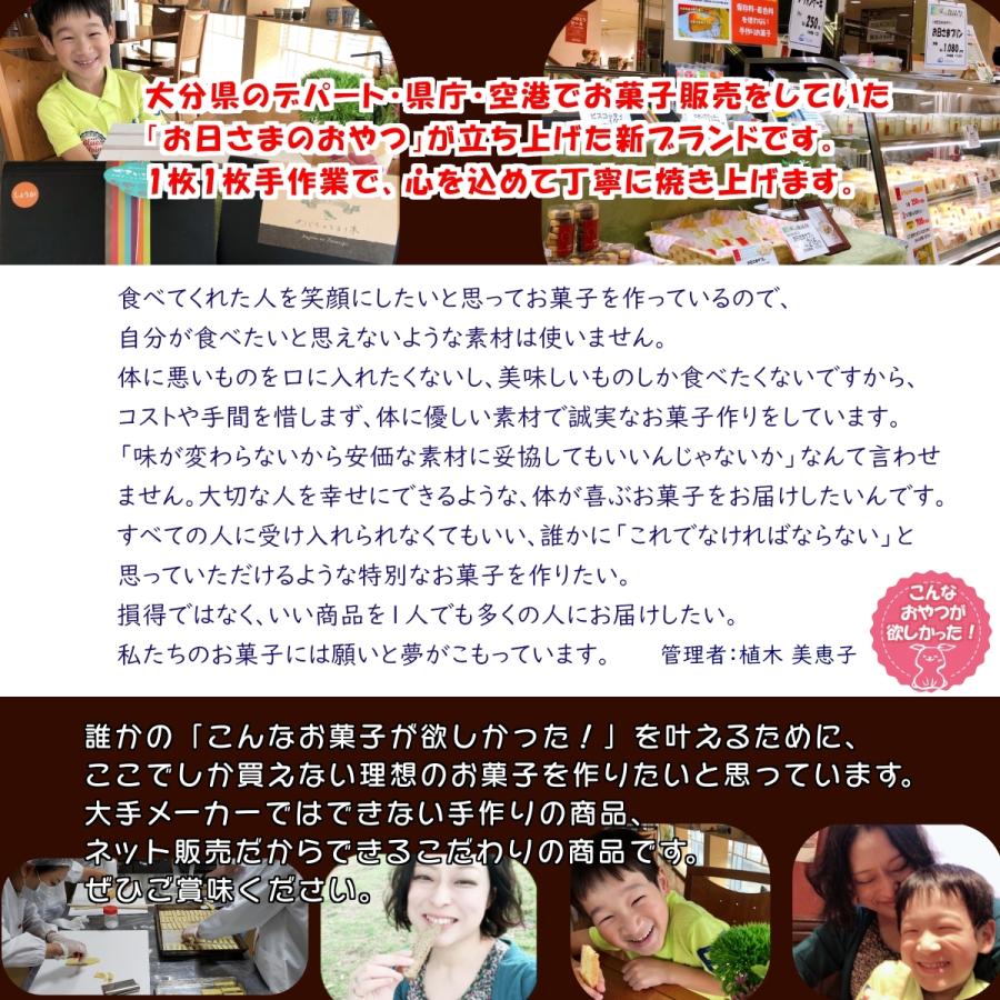 置き換えダイエット 低糖質ゼロおからクッキー 硬い無添加【ココアゼロ