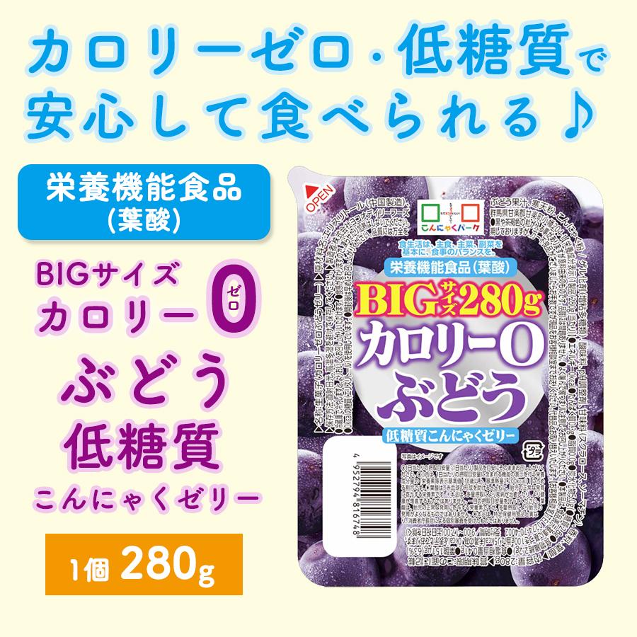 こんにゃくん 極こんにゃくセット 3種 蒟蒻 コンニャク しらたき 白滝
