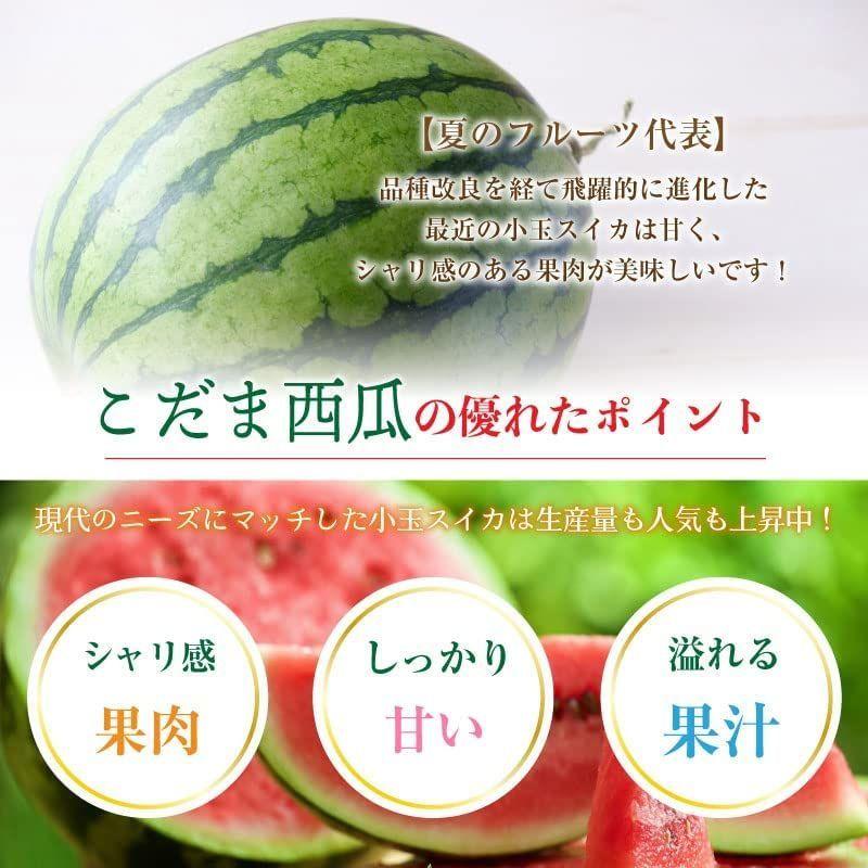 日時指定可能こだま西瓜小玉スイカMサイズ6玉贈り物熊本県産他産地箱こだますいか熊本県産他こだますいか西瓜果物贈り物ギフト20220622204234 00065 ご贈答用フルーツ 日時指定可能こだま西瓜小玉スイカMサイズ6玉贈り物熊本県産他産地箱こだますいか熊本県産他こだますいか西瓜果物贈り物ギフト20220622204234 00065 ご贈答用フルーツ