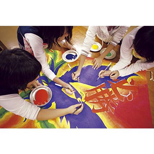 ターナー色彩 アクリル絵具 イベントカラー スパウトパック 12色BOXセット EVS55 