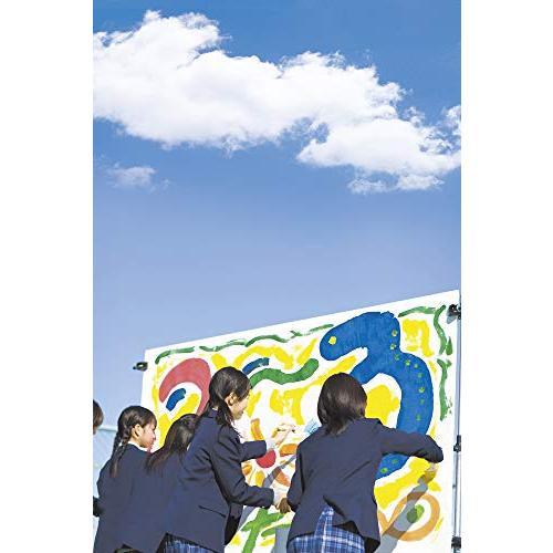 ターナー色彩 アクリル絵具 イベントカラー スパウトパック 12色BOXセット EVS55 