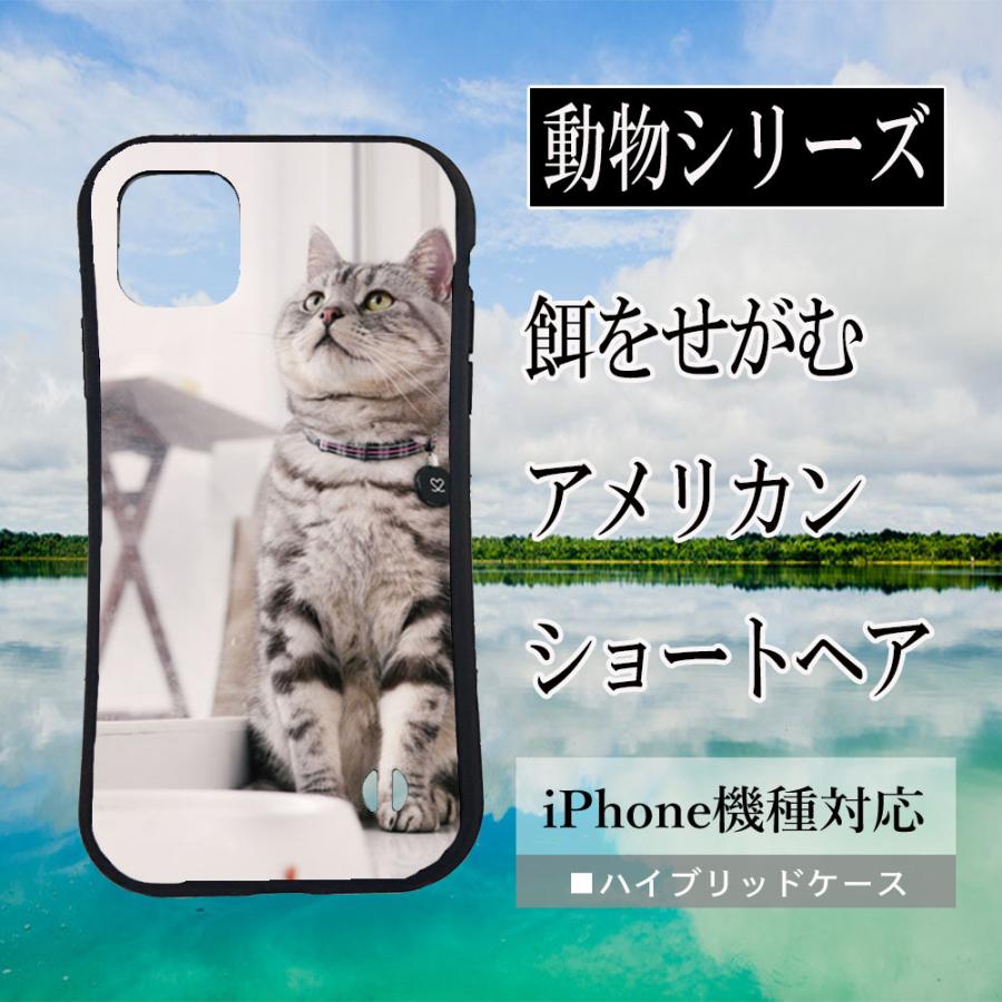 Iphone13 Pro Max 13mini ケース 餌をせがむ猫のアメリカン ショートヘア Iphone12 12pro Max 12mini 7 8 Se2 Se3 Iphone11 Pro X Xs Xr アメショー グッズ C6012 Konomi ヤフー店 通販 Yahoo ショッピング