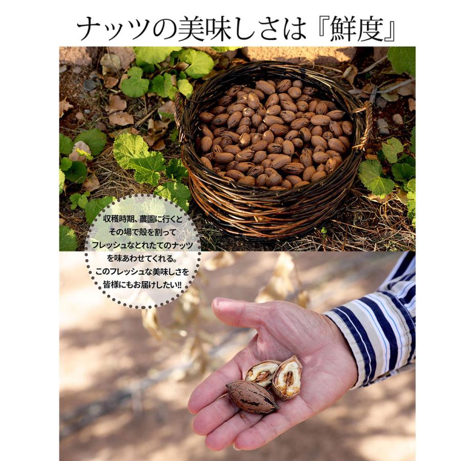 ピスタチオ入 4種 ミックスナッツ 320g 無塩 素焼き 小分け 小袋 個包装 送料無料 | ナッツクリエイトこのみみ | 13