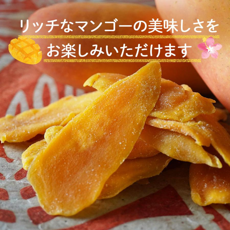 ナッツクリエイトこのみみ ドライマンゴー スライス 40g ドライ