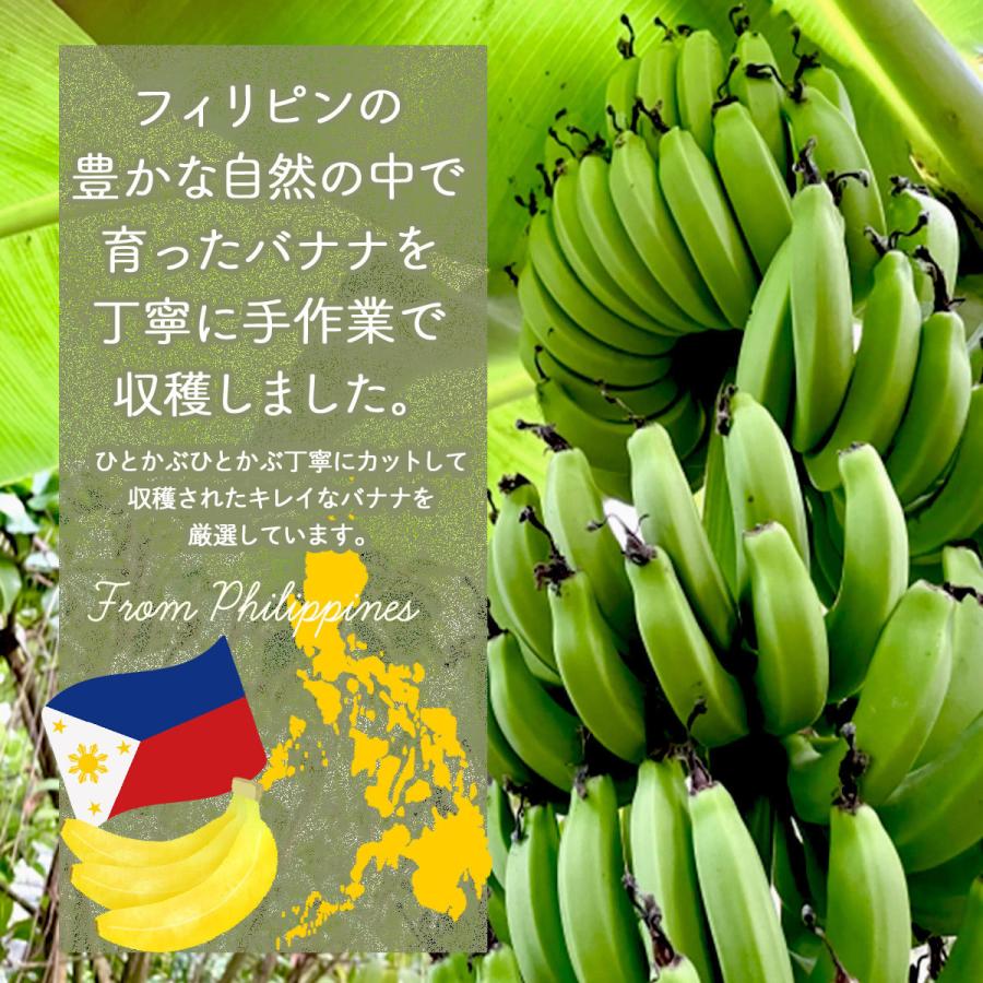 バナナチップス 50g おやつ おつまみ フィリピン産 | ナッツクリエイトこのみみ | 03