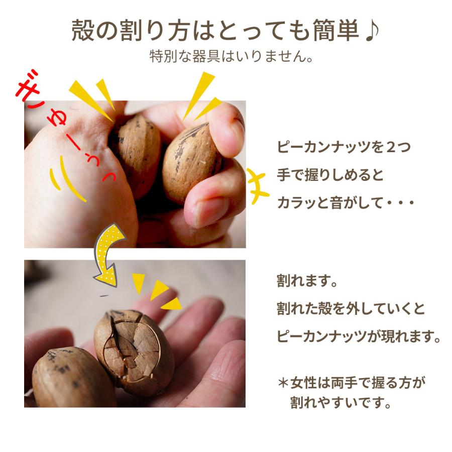 ピーカンナッツ 殻付き 生 0g ナッツ 日本初輸入 オイル不使用 無塩 ピーカンパイ 健康 美容 おつまみ 製パン お中元 おやつ クルミ科 390 ナッツクリエイト このみみ 通販 Yahoo ショッピング