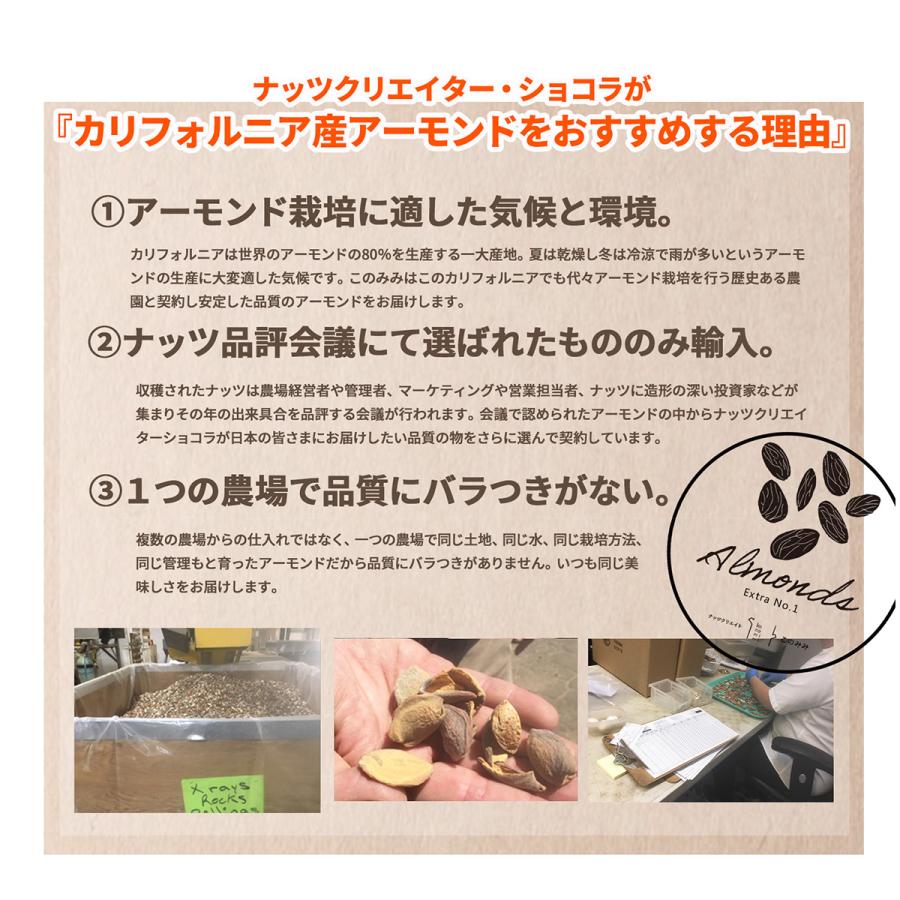 キャンディ アーモンド 250g  小分け 飴がけ キャンディー おつまみ｜konomimi｜03