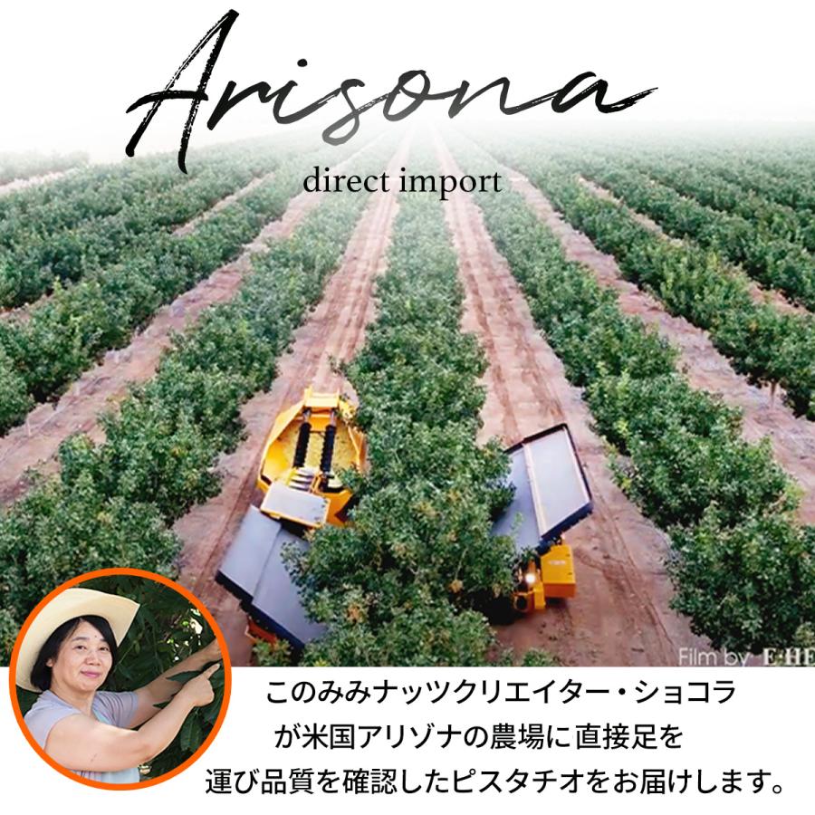 ピスタチオ 素焼き 殻付き 無塩 50g オイル不使用 焙煎 健康 美容 おつまみ 日本製 おやつ | ナッツクリエイトこのみみ | 02