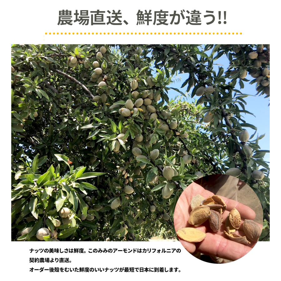 素焼き アーモンド 250g 個包装 おつまみ アメリカ産 無塩 無油 無添加 ロースト | ナッツクリエイトこのみみ | 04