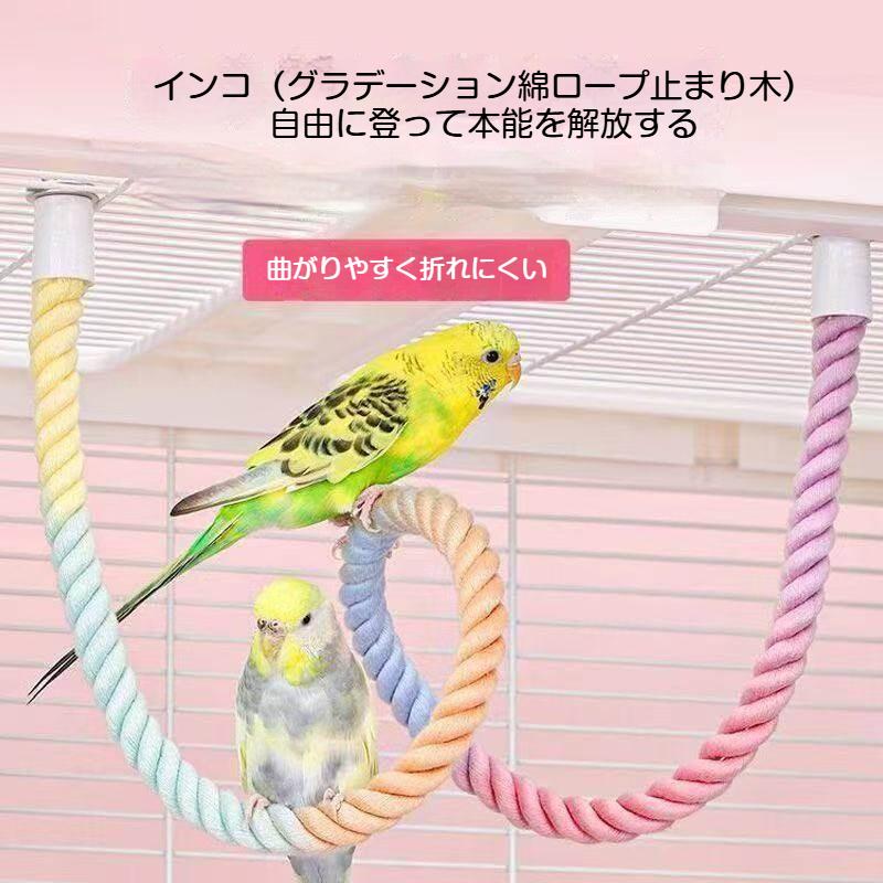 【kana】ロープパーチ、止まり木セット インコ ロープ 止まり木 足場 ロープパーチ 綿ひも止まり木
