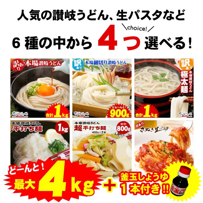 楽ギフ_のし宛書】【楽ギフ_のし宛書】選べる本場讃岐うどんセット 最大4kg 釜玉しょうゆ100ml付き 讃岐うどん セット 福袋 うどん 並麺 太麺 細麺 平打ち麺 超平打ち麺 生パスタ うどん 20時間熟成 半生 讃岐うどん 3種麺 つゆ付きセット 極太麺 並麺 細麺 750g 送料無料 最安値挑戦 お取り寄せ お試し★★
