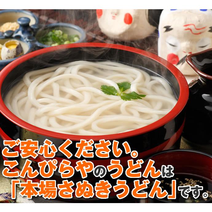 こんぴらや 讃岐うどん 極太麺 300g×3袋 6人前〜9人前 極太 うどん