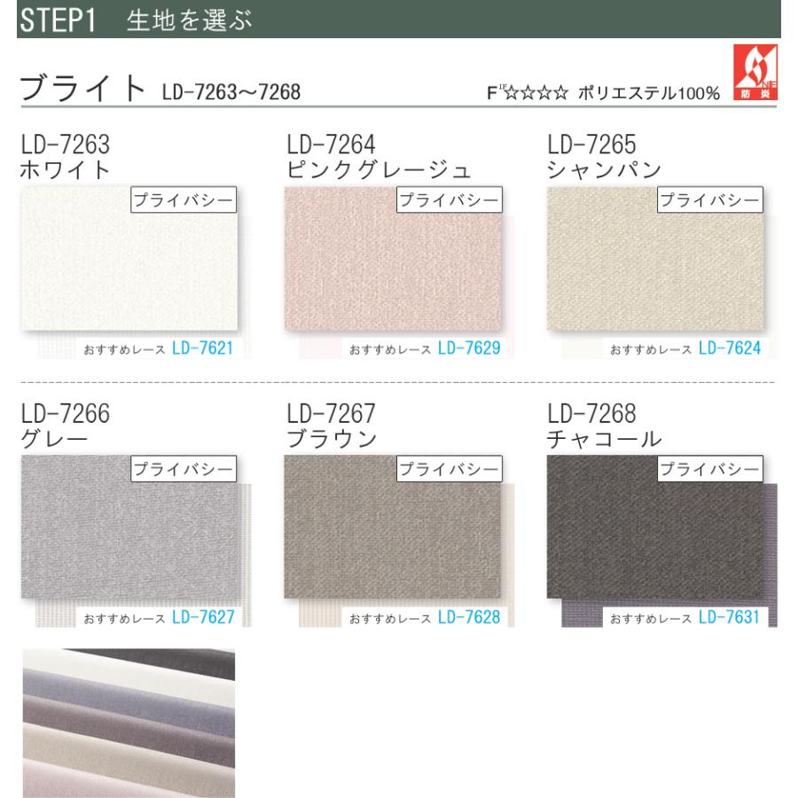 縦型ブラインド ラインドレープ タチカワブラインド ブライト LD7263〜LD7268 羽幅100mm 幅321cm〜341cm×高さ351cm〜373cm
