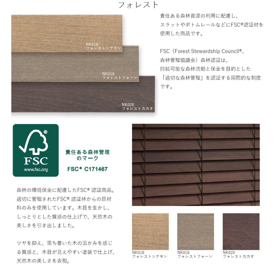 木製ブラインド ウッドブラインド クレール50 クレール35 ラダーコード ループコード式 ベーシック フォレスト ニチベイ 幅201〜220cm×丈201〜220cm_4