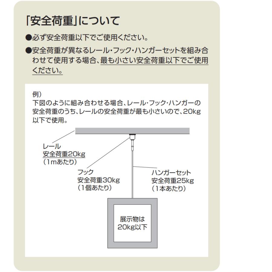 タチカワブラインド タチカワ ピクチャーレール用 ハンガーセット（1.0
