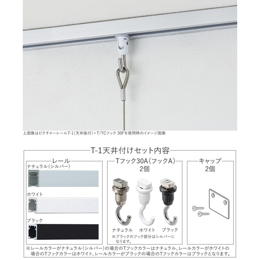 ピクチャーレール toso T-1（T1） 4m 天井付けセット フック2個付き ナチュラル（シルバー） TOSO トーソー_3