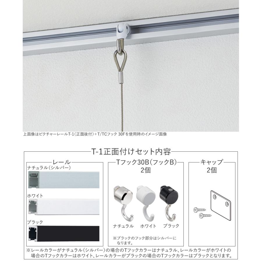 TOSO（トーソー） ピクチャーレール toso T-1（T1） 1m 正面付けセット