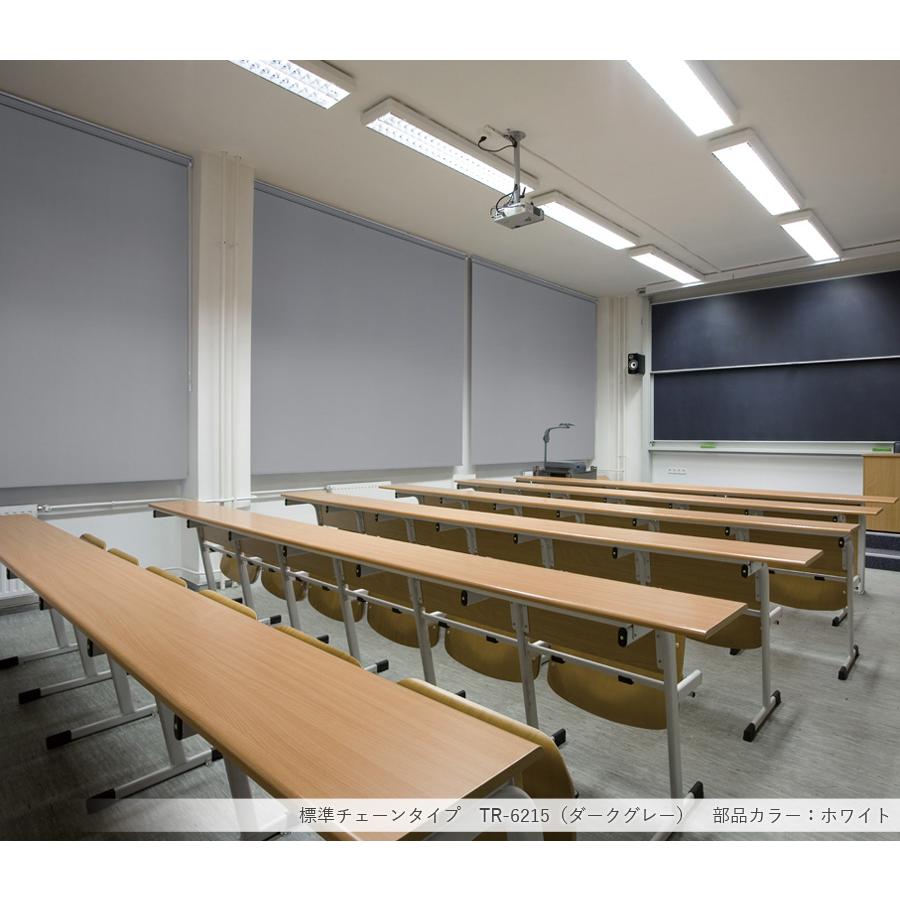 ロールスクリーン ロールカーテン オーダー トーソー TOSO 日本製 ルノプレーンBC 遮光1級 TR6212〜TR6216 幅121〜160cm×丈201〜240cm_1