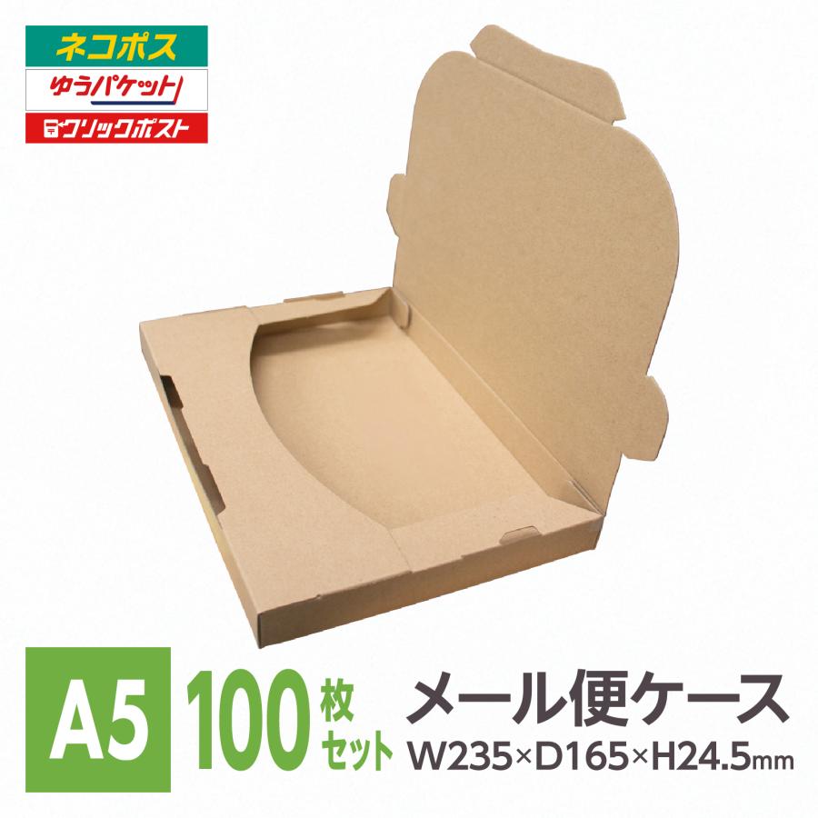 ネコポス2.5cm厚対応A5サイズ 差込式メール便ケース 100枚 薄型