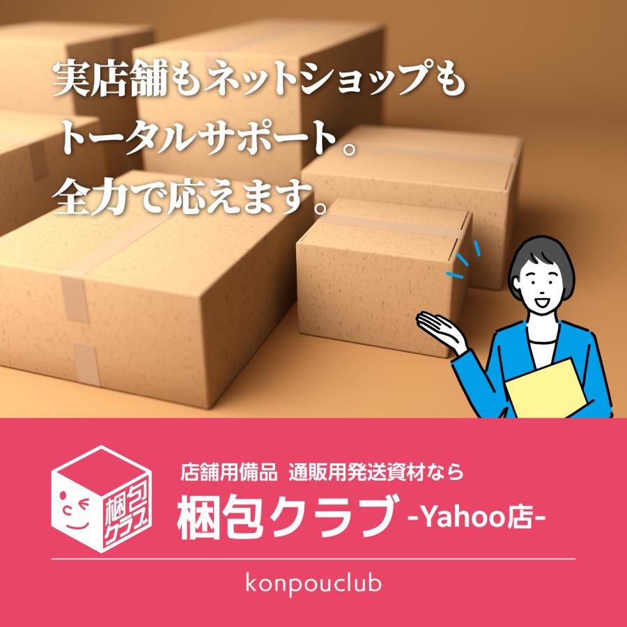 ネコポス2.5cm厚対応A5サイズ 差込式メール便ケース 100枚 薄型