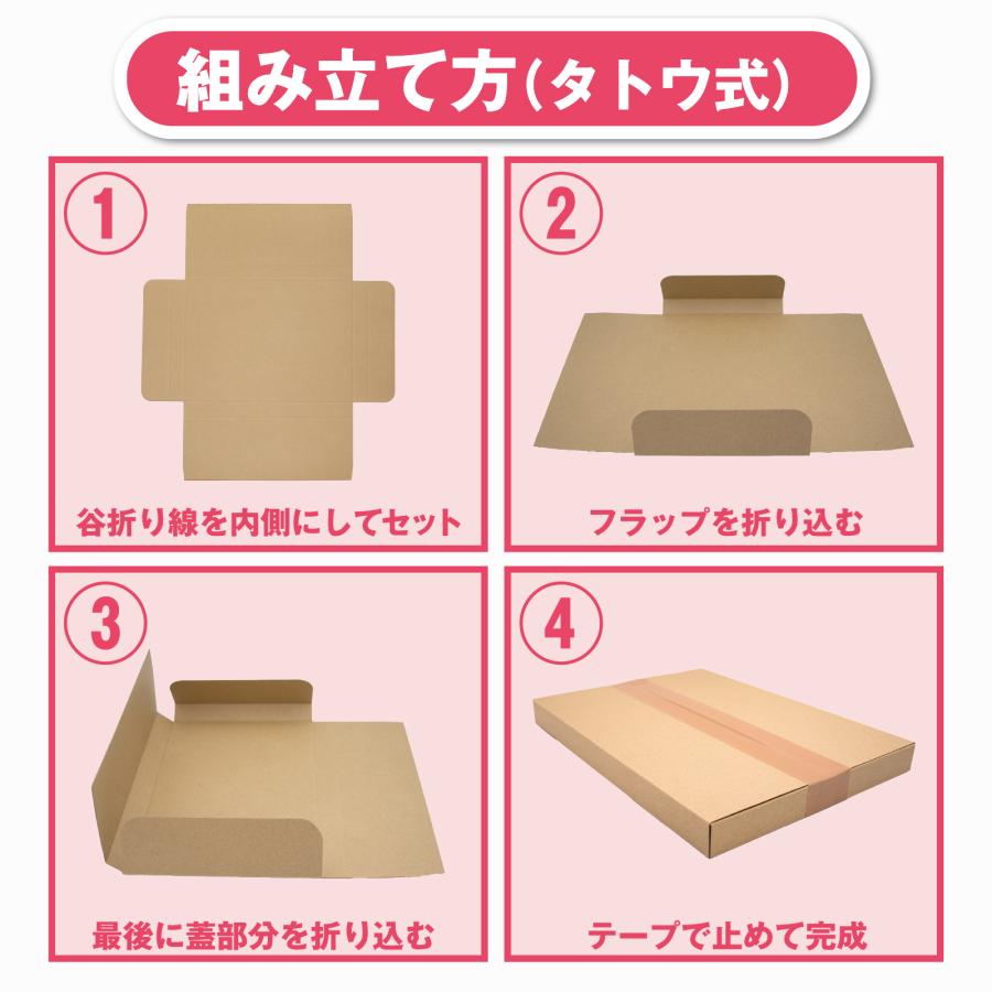 タトウ式(ヤッコ型)式メール便ケース ネコポス最大2.5cm厚対応A4サイズ