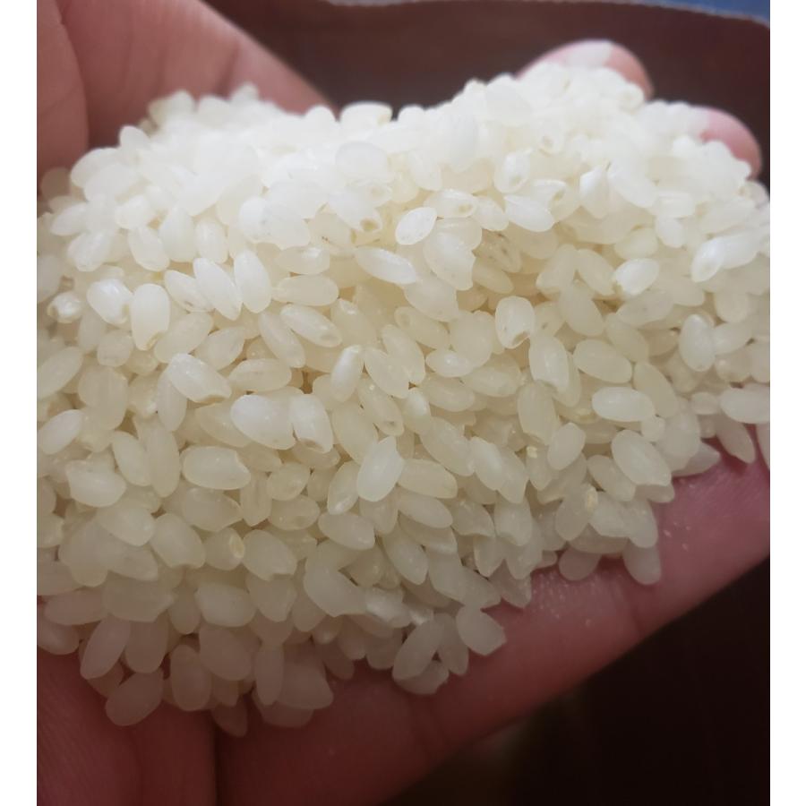 あさゆき 青森県産 特別栽培米 有機質肥料100％ 5kg 精米 KonRiceFarm