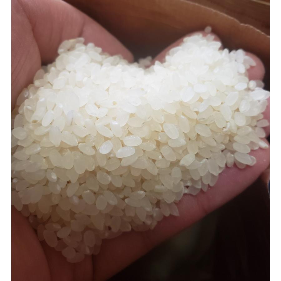 令和7年度産 青森県産 新米 特別栽培米 つがるロマン 5kg×2 精米 