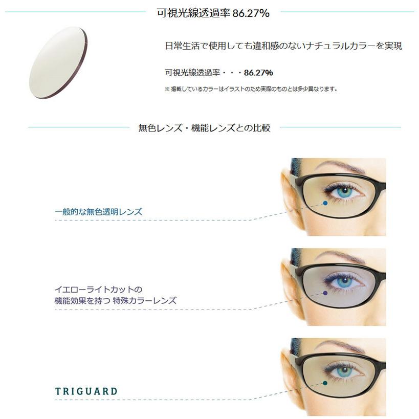 トライガード 160 レンズ 単品販売 フレーム 持ち込み 交換可能 度あり