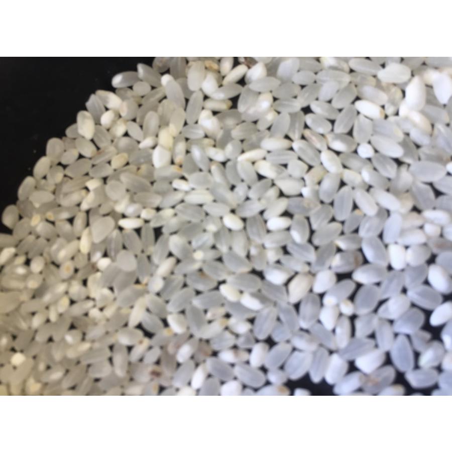 白米 eco米 30kg（10kgx3本）10,500円 : コンヤライス - 通販 - Yahoo