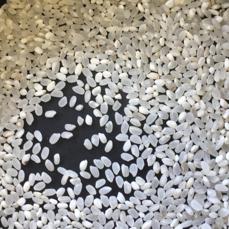 白米 eco米 30kg（10kgx3本）10,500円 : コンヤライス - 通販 - Yahoo