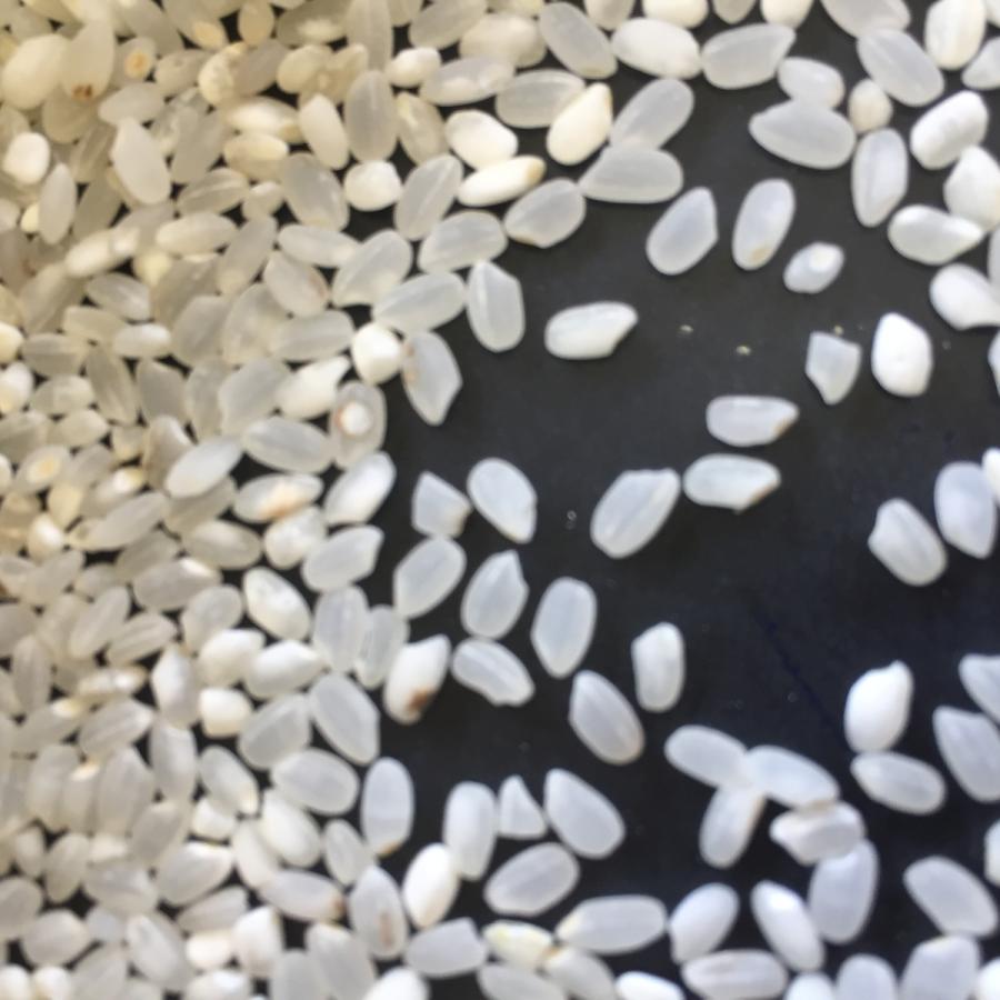 白米 eco米 30kg（10kgx3本）10,500円 : コンヤライス - 通販 - Yahoo