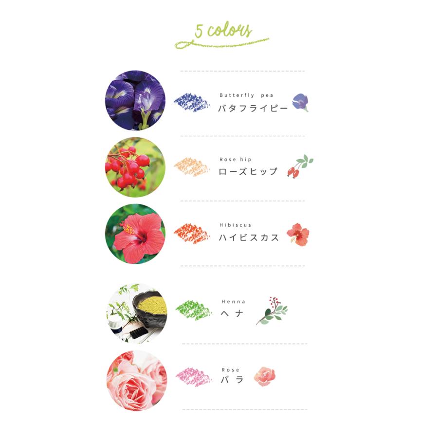 おはなのクレヨン Flower Crayon 5 Standard COLORS｜kooka｜02