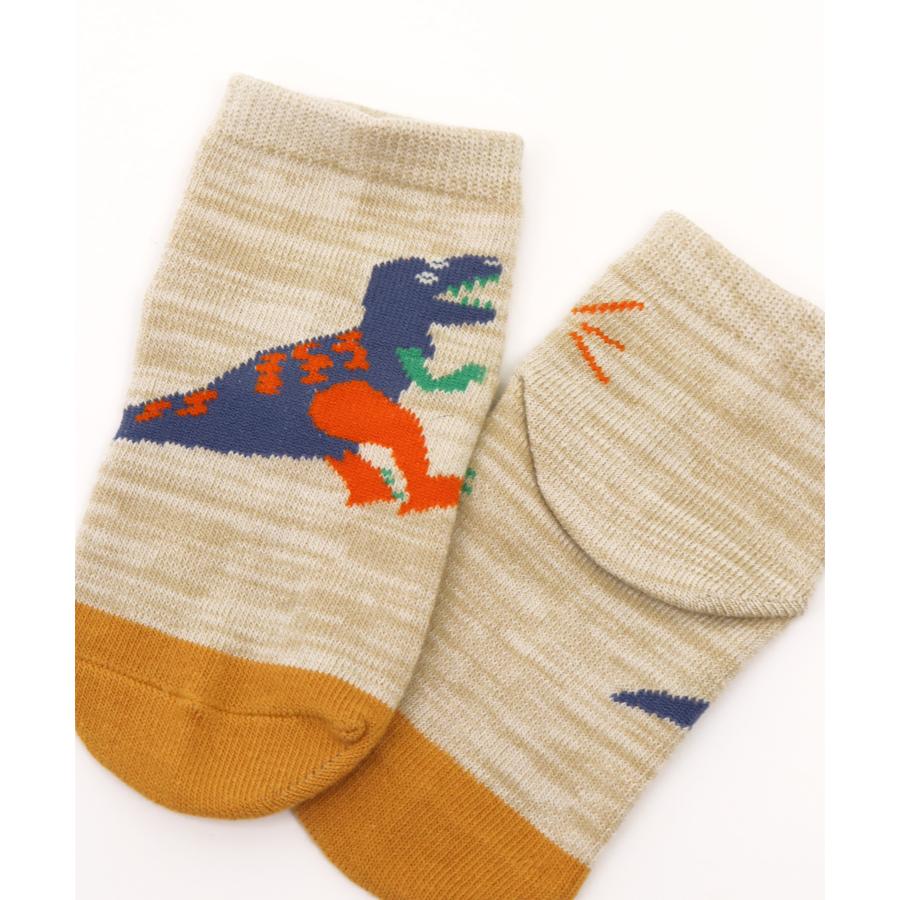 stample／スタンプル ゆるゆるダイナソー 園児ソックス ３足組　男の子 | stample | 01