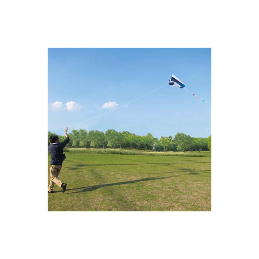 EL COMMUN ／ エル・コミューン パラフォイルカイト KIT-001 Pink |  | 01