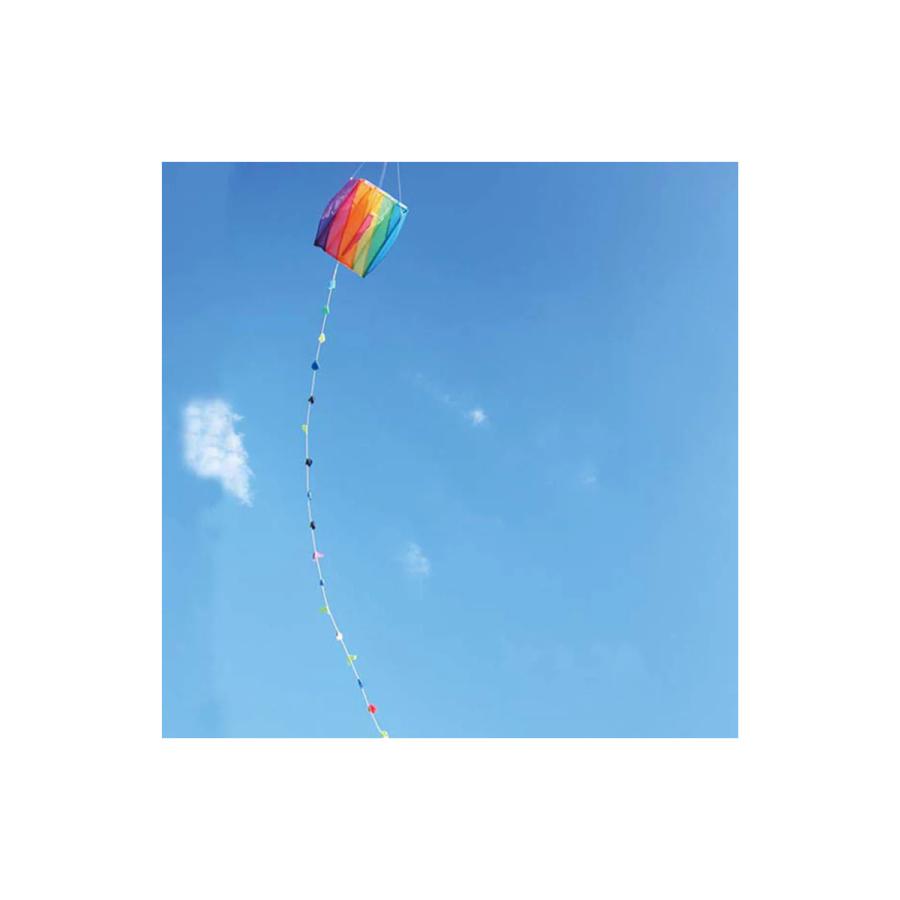 EL COMMUN ／ エル・コミューン パラフォイルカイト KIT-001 Pink |  | 02