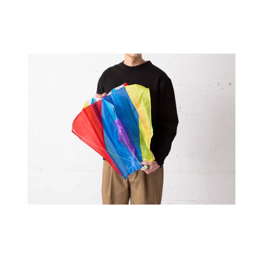 EL COMMUN ／ エル・コミューン パラフォイルカイト KIT-001 Pink |  | 03