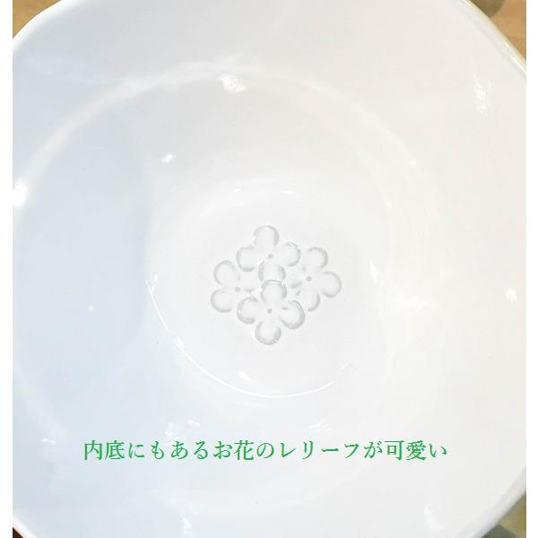 美濃焼 日本製 リアン ボウルL グレー 267822 GL 和食器 フルーツ デザート サラダ カラフル アジアン料理 電子レンジ可 家庭用食洗機可 |  | 01