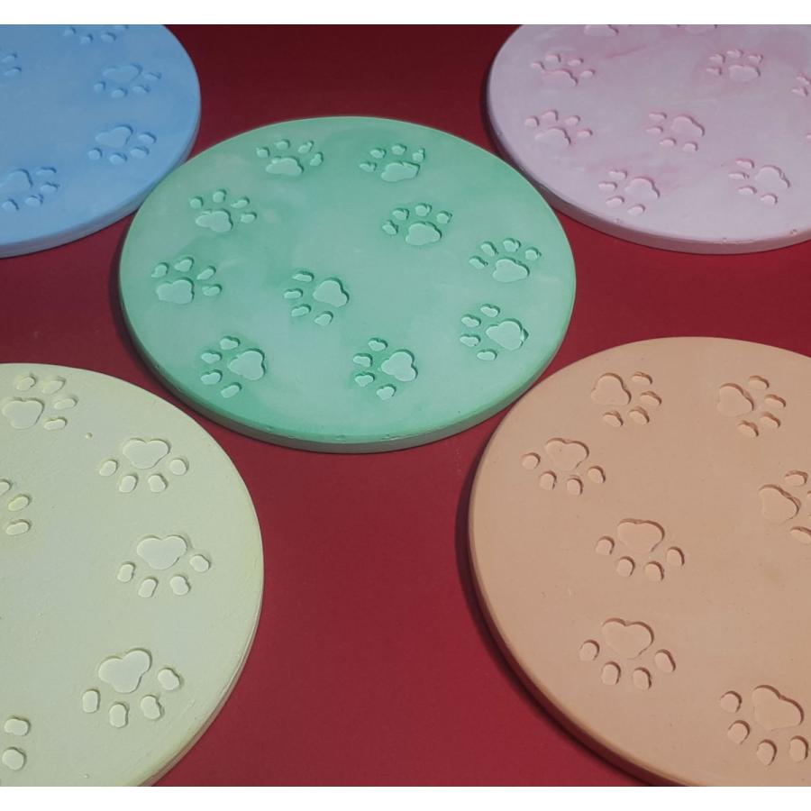 Nintendo Switch Lite ターコイズ 猫の足跡デザイン Nintendo Switch Lite ターコイズ 猫の足跡デザイン