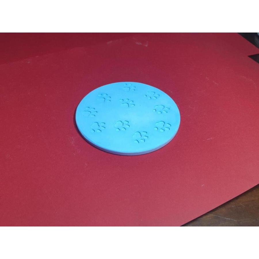 Nintendo Switch Lite ターコイズ 猫の足跡デザイン Nintendo Switch Lite ターコイズ 猫の足跡デザイン 【公式通販】