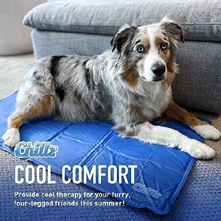 Hugs Pet Products Chilly Mat Comfort Cooling Gel Pet Mat, Large (36" x 20") by Maze Innovations Inc｜koostore｜05