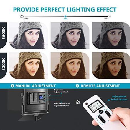 Neewer　Packs　Advanced　2.4G　with　Dimmable　2.4G　Light　Kit　Bag,　Photography　Lighting　LED　with　Bi-Color　Panel　LED　660　Screen　Wireless　Remote,　LCD　Video